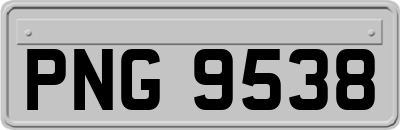 PNG9538