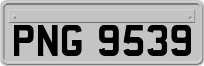 PNG9539