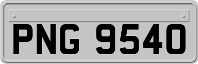 PNG9540