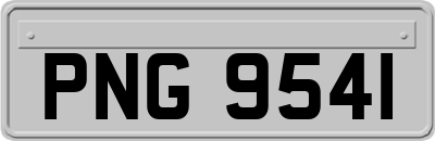 PNG9541