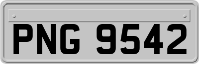 PNG9542