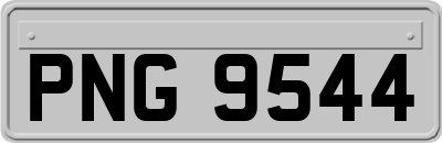 PNG9544