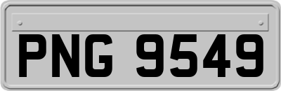 PNG9549