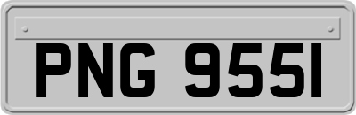 PNG9551