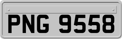 PNG9558