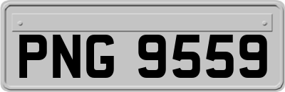 PNG9559