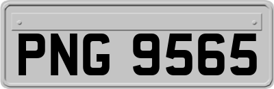 PNG9565