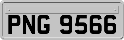 PNG9566