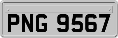 PNG9567