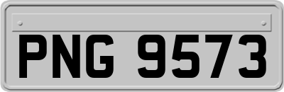 PNG9573