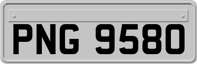 PNG9580