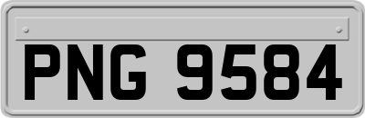 PNG9584