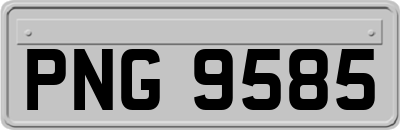 PNG9585