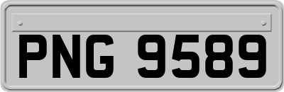 PNG9589
