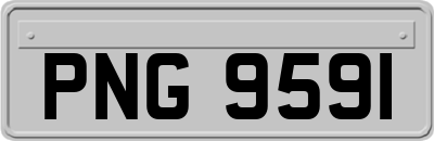 PNG9591