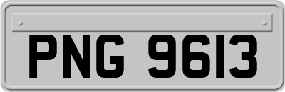PNG9613
