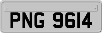 PNG9614