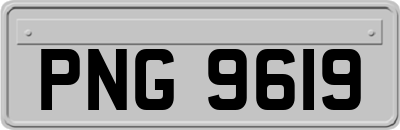 PNG9619