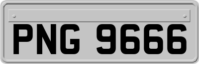PNG9666