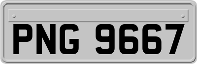PNG9667