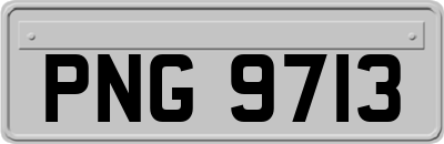 PNG9713