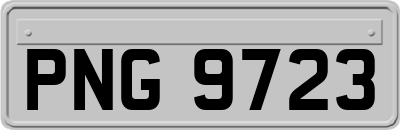 PNG9723