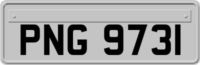 PNG9731