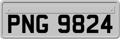 PNG9824