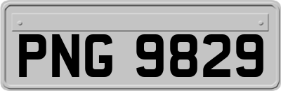 PNG9829