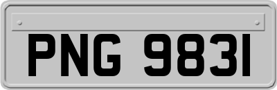 PNG9831