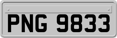 PNG9833