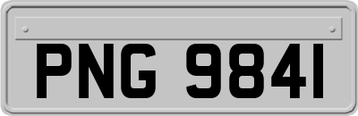 PNG9841