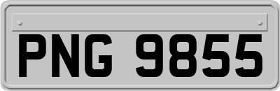 PNG9855