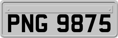 PNG9875