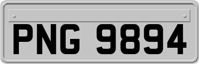 PNG9894