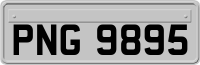 PNG9895