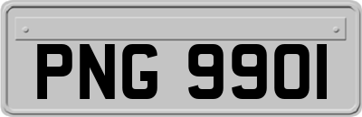 PNG9901