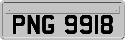 PNG9918