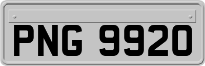 PNG9920