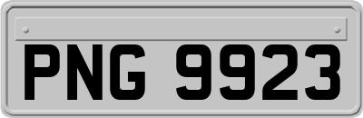 PNG9923