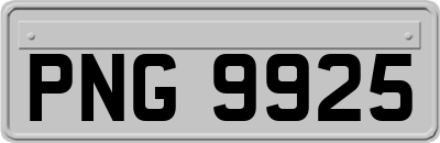 PNG9925