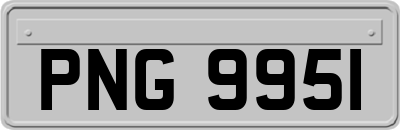 PNG9951