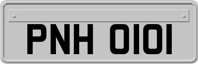 PNH0101