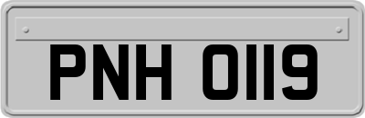 PNH0119