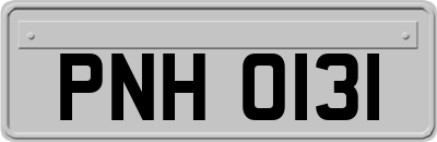 PNH0131