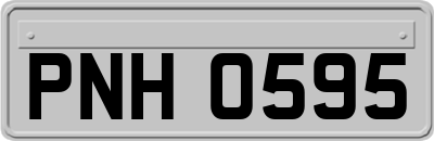 PNH0595