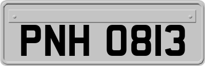PNH0813