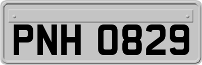 PNH0829
