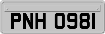 PNH0981