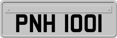 PNH1001